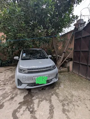 BYD ATTO 3 2022 Gray
