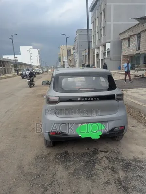 BYD ATTO 3 2022 Gray