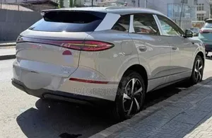 Byd Selion 6 Rent