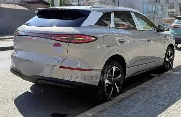 Byd Selion 6 Rent