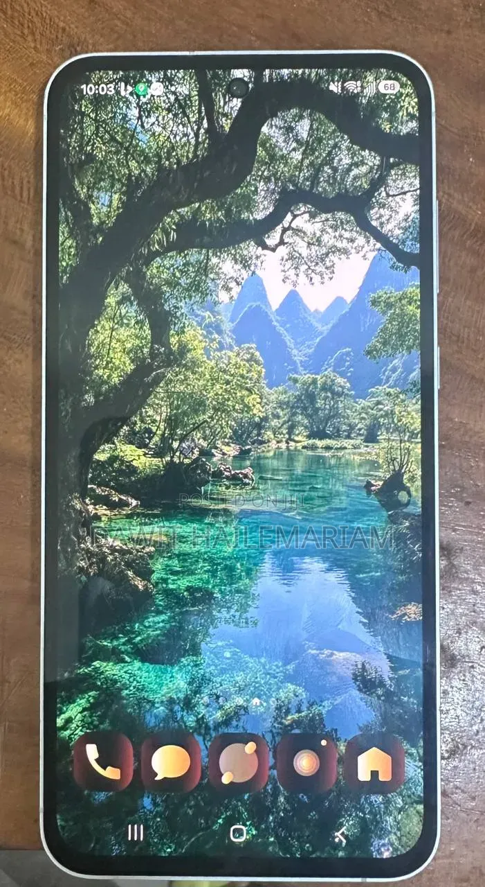 Samsung Galaxy A55 256 GB