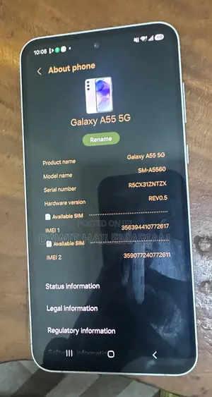 Samsung Galaxy A55 256 GB