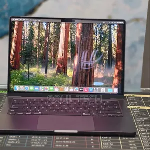 New Laptop Apple MacBook Pro 2024 M4 16GB Apple M4 Pro SSD 512GB