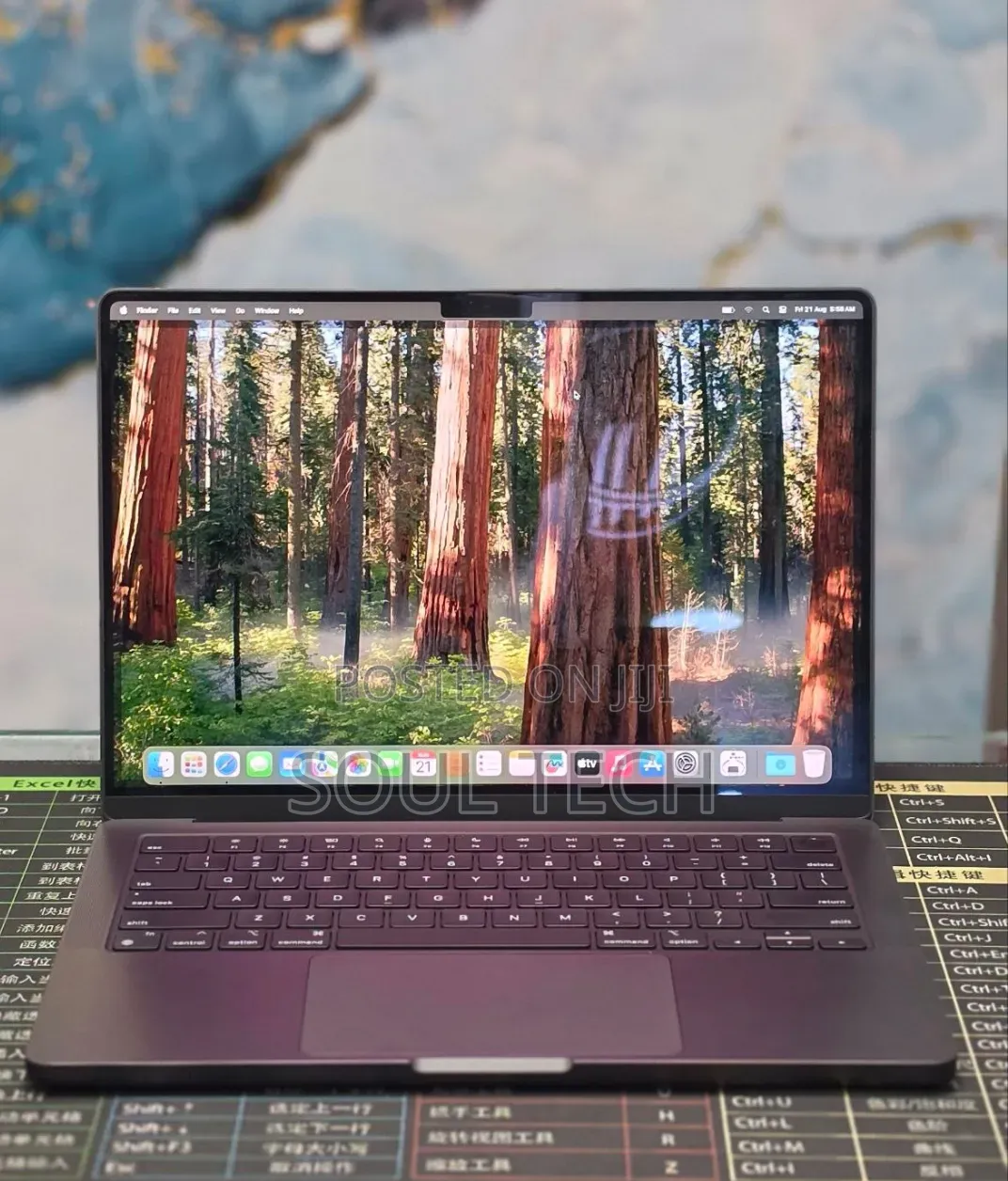 New Laptop Apple MacBook Pro 2024 M4 16GB Apple M4 Pro SSD 512GB