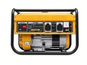 Astra Korea Generator Manual FG1000
