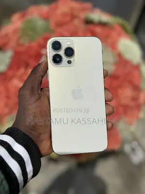 Apple iPhone 13 Pro Max 256 GB Gold