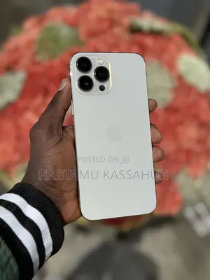Apple iPhone 13 Pro Max 256 GB Gold