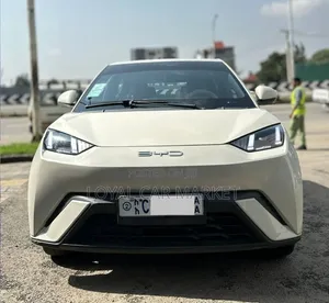 BYD Seagull 2023 Gray