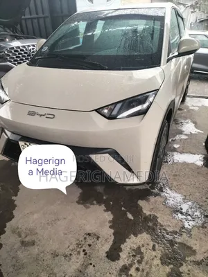 BYD Seagull 2023 White