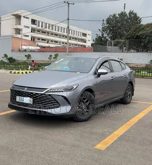 BYD Qin Plus DM-i 2025 Gray