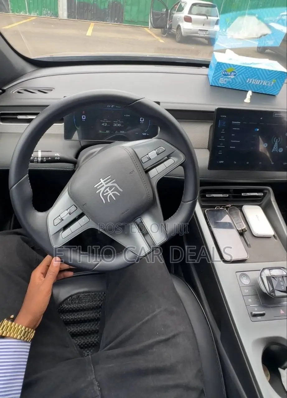 BYD Qin Plus DM-i 2025 Gray