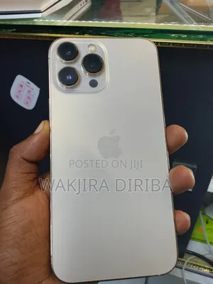 Apple iPhone 13 Pro Max 256 GB