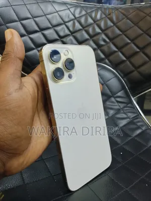 Apple iPhone 13 Pro Max 256 GB