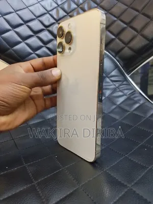 Apple iPhone 13 Pro Max 256 GB