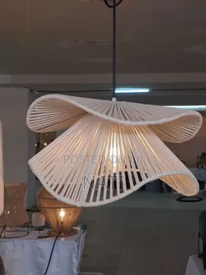Ediko Light Ceiling Light