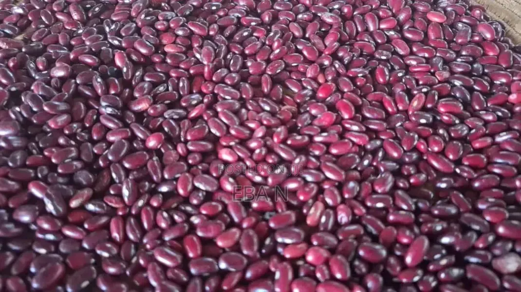 Red Kidney Pea Bean