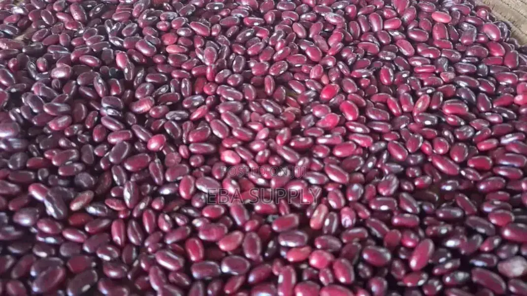 Red Kidney Pea Bean
