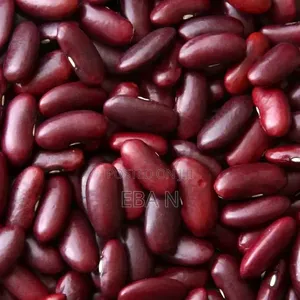 Red Kidney Pea Bean