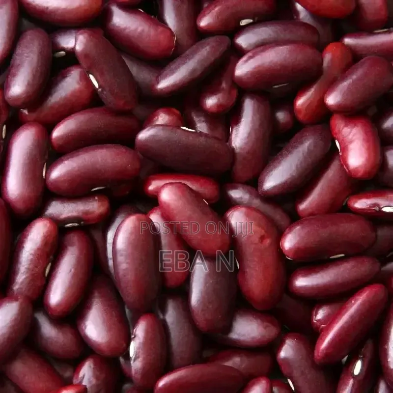 Red Kidney Pea Bean