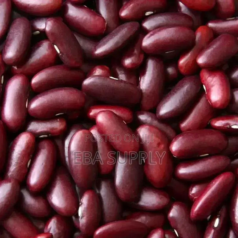 Red Kidney Pea Bean