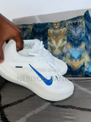 Nike Winflo 10