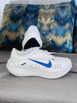 Nike Winflo 10