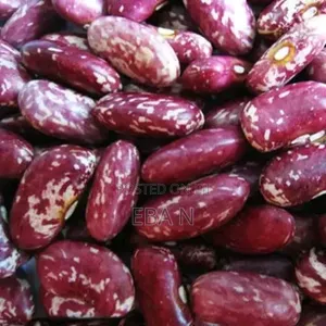 Bulk Red Kidney Beans (Sprinkled / Red Speckled) – Premium Quality