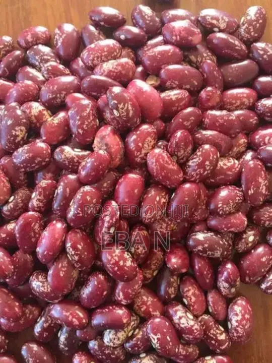 Bulk Red Kidney Beans (Sprinkled / Red Speckled) – Premium Quality