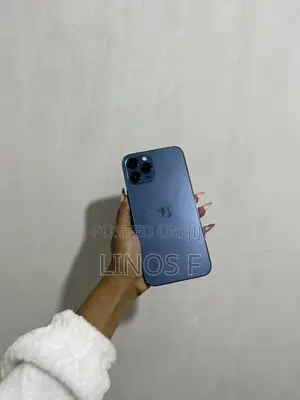 Apple iPhone 12 Pro Max 256 GB Blue