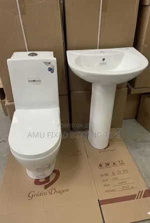 Golden Dragon Toilet Seats and Basin With Stand