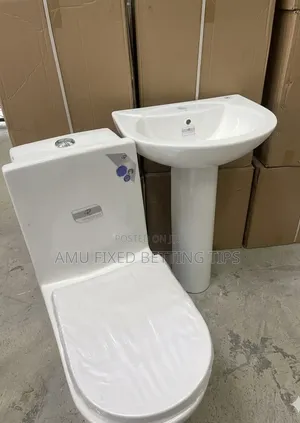 Golden Dragon Toilet Seats and Basin With Stand