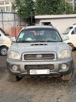 Hyundai Santa Fe 2002 Silver