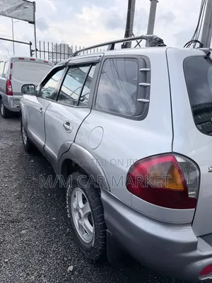 Hyundai Santa Fe 2002 Silver