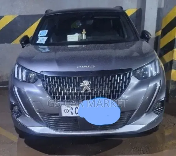 Peugeot 2008 2022 Gray