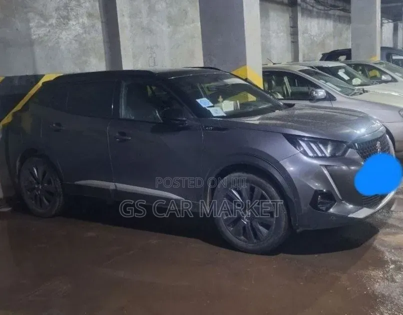 Peugeot 2008 2022 Gray