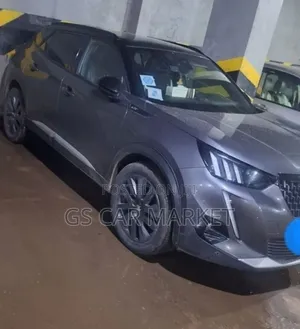 Peugeot 2008 2022 Gray