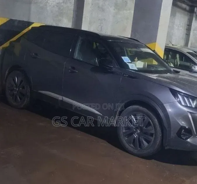 Peugeot 2008 2022 Gray