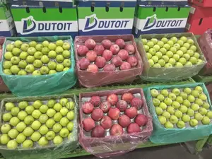 Imported Green Apple 18.5KG
