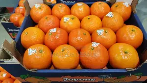 Orange Menderin Imported 11KG