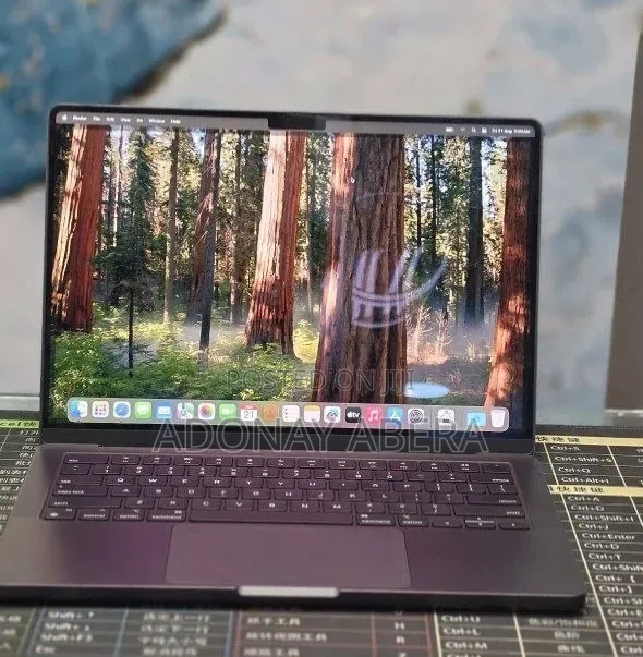 New Laptop Apple MacBook 16GB Apple M4 SSD 512GB