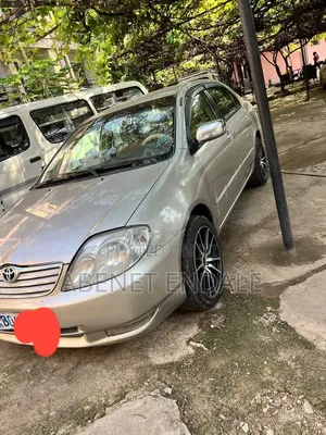 Toyota Corolla 2005 Gray