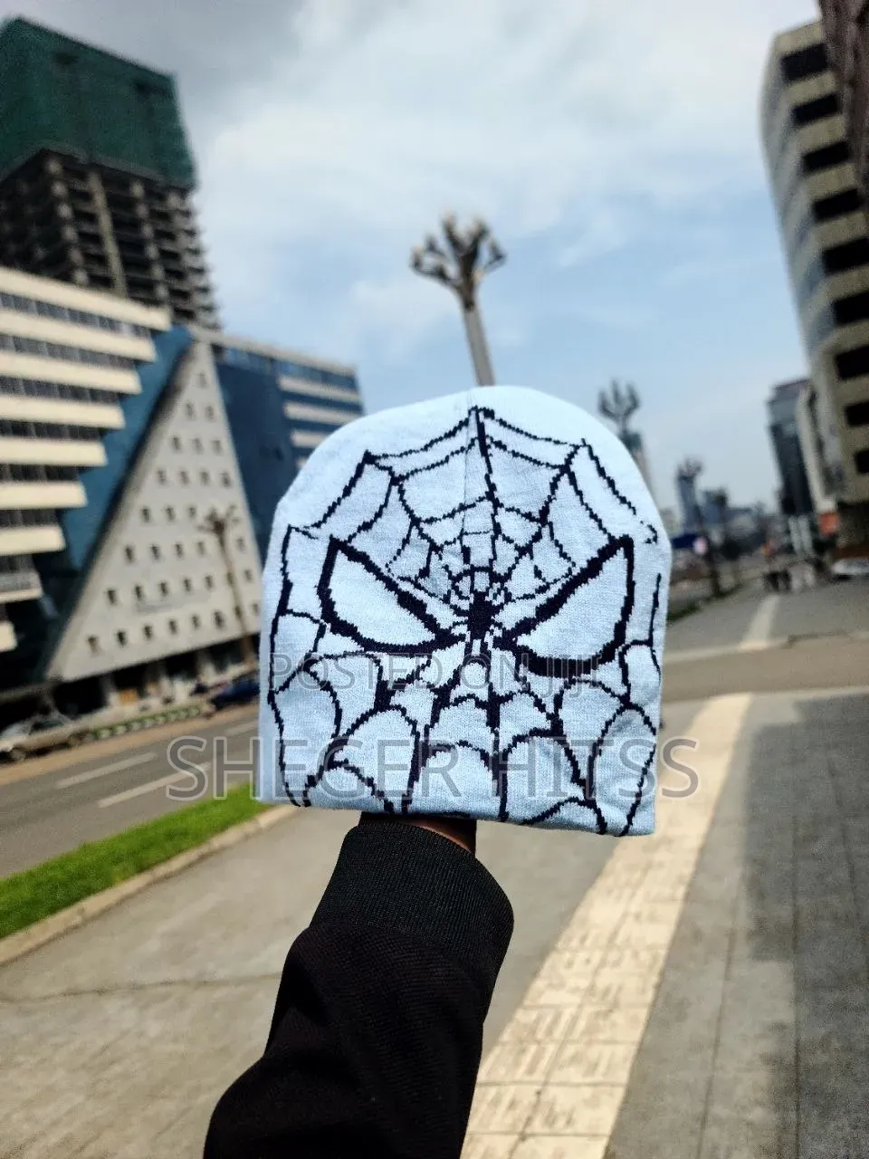 Spider Beanie's