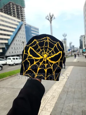 Spider Beanie's