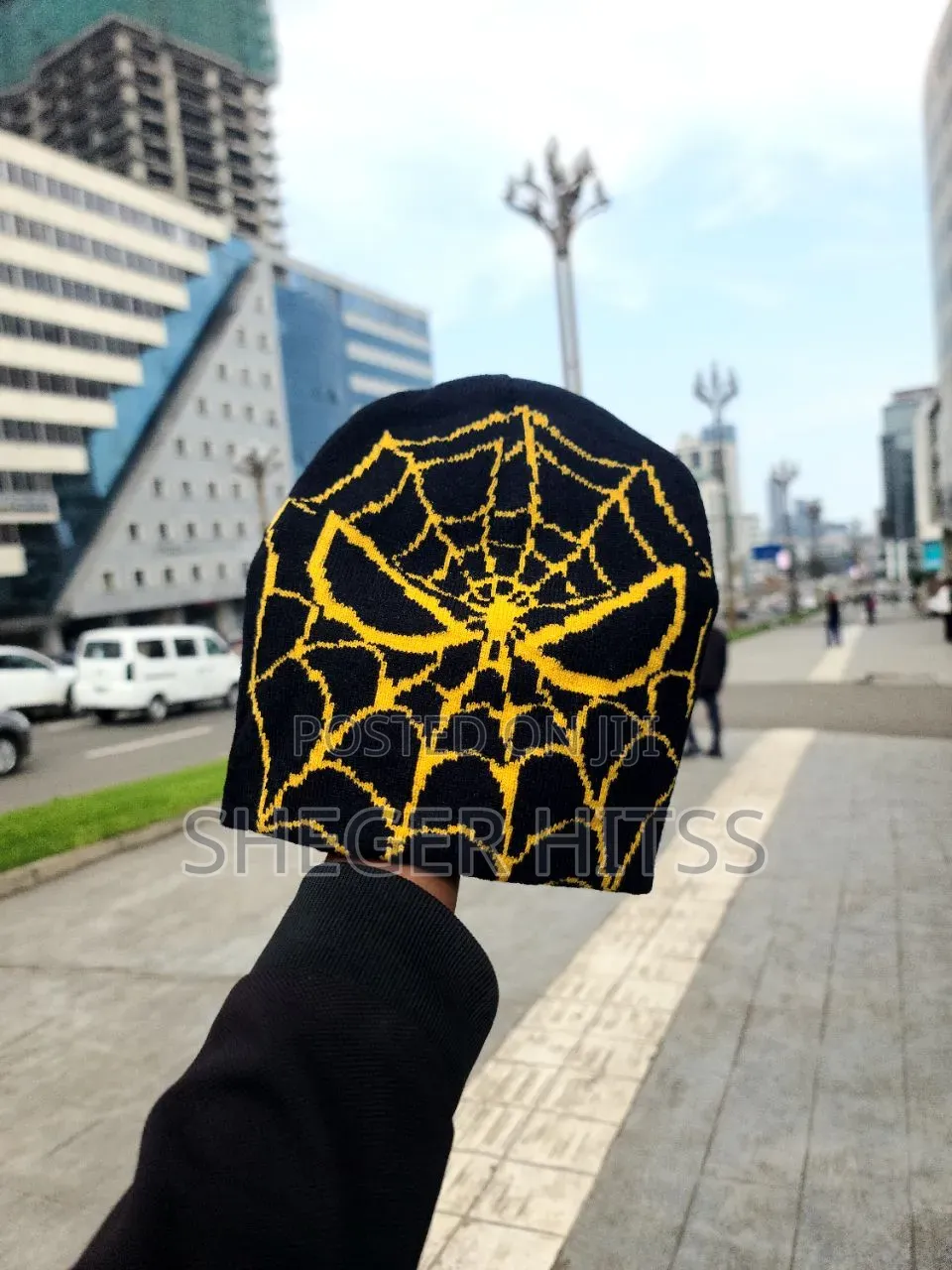 Spider Beanie's