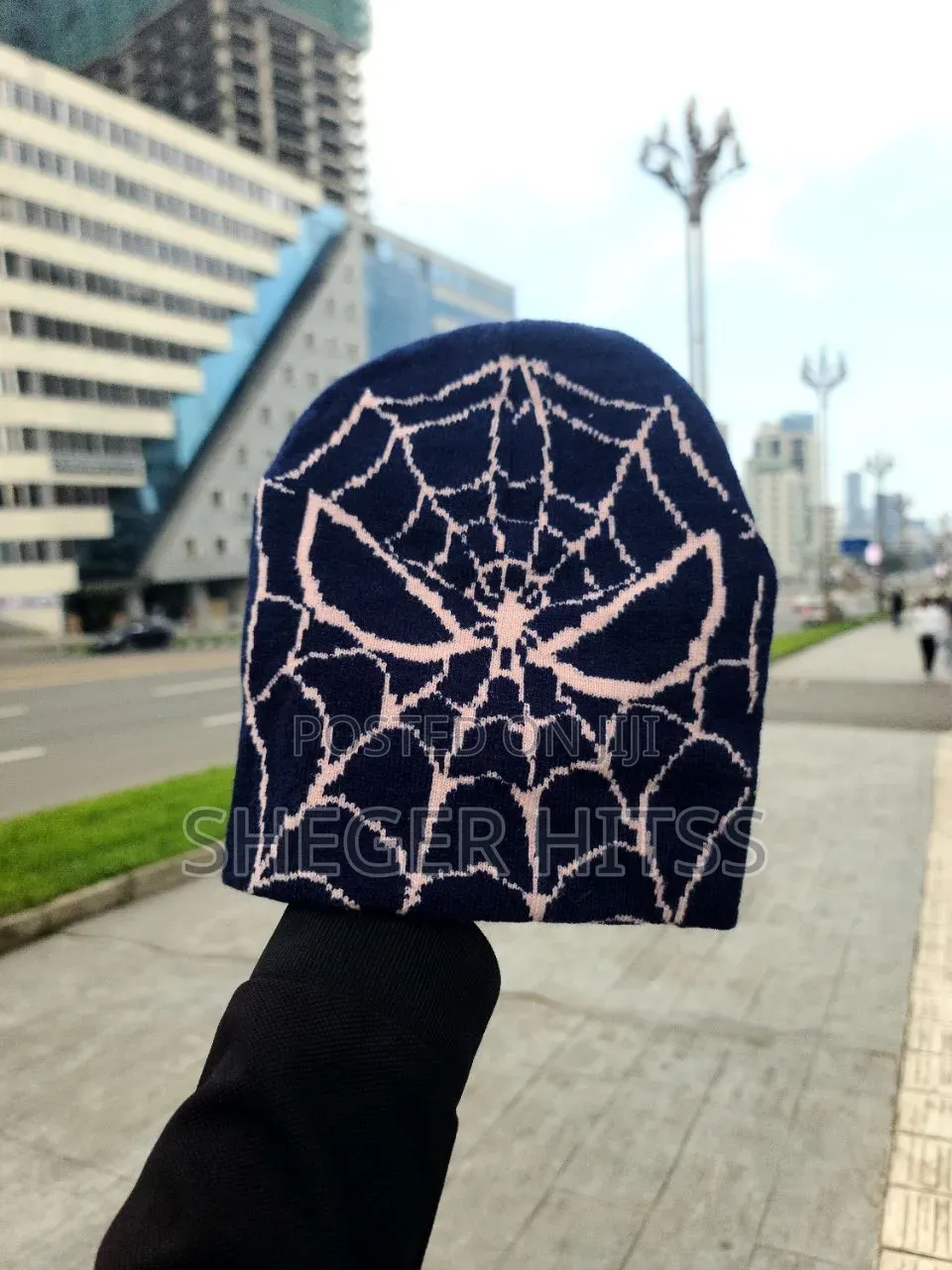 Spider Beanie's