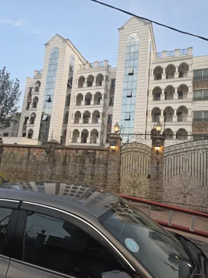 Furnished 10bdrm Duplex in Bole for rent