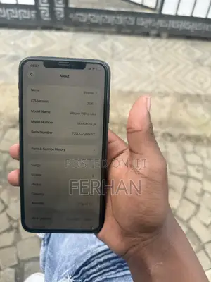 Apple iPhone 11 Pro Max 256 GB Gray