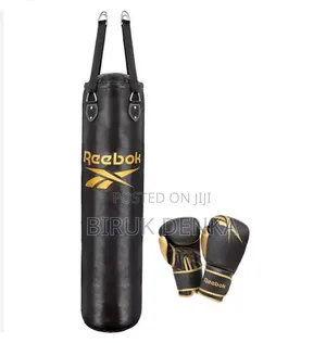 Punchbag and Boxing Gloves