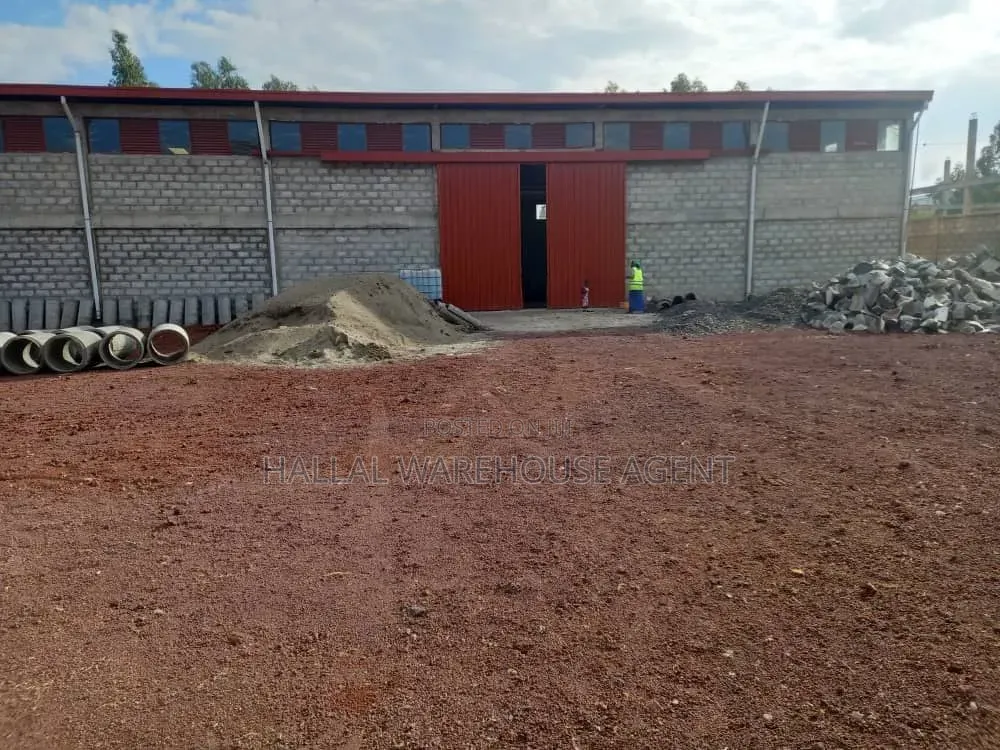 Urgent Warehouse Sale at Sheger City