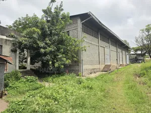 Urgent Warehouse Sale at Sheger City